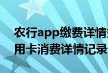 农行app缴费详情如何查询 怎么查询农行信用卡消费详情记录
