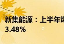新集能源：上半年煤炭主营销售收入同比增长3.48%