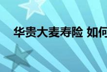 华贵大麦寿险 如何投保华贵大麦2 0定寿