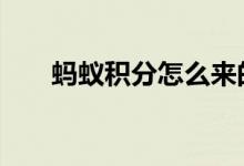蚂蚁积分怎么来的 蚂蚁积分怎么获取