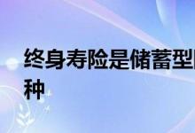 终身寿险是储蓄型险种吗 终身寿险是什么险种