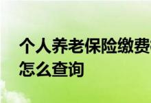 个人养老保险缴费档次是多少 个人养老保险怎么查询 