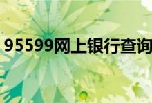 95599网上银行查询（95599网上银行登录）