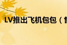 LV推出飞机包包（售价约合人民币25万元）
