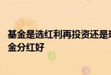 基金是选红利再投资还是现金分红 基金红利再投资好还是现金分红好