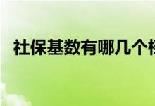社保基数有哪几个档次 社保基数如何计算 