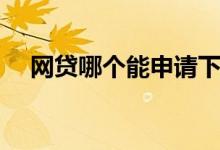 网贷哪个能申请下来（网贷哪个好下款）