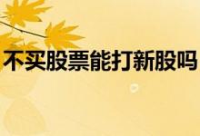 不买股票能打新股吗 股票不满2年不能打新么