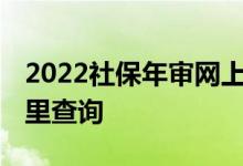2022社保年审网上怎么操作的 缴费完后去哪里查询 