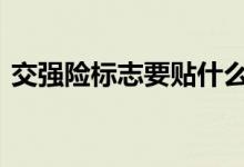 交强险标志要贴什么标 交强险标志要贴几个