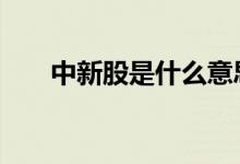 中新股是什么意思 中新股是什么意思