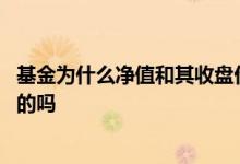 基金为什么净值和其收盘价不一样 基金净值和收盘价是一致的吗