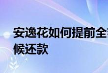 安逸花如何提前全额还款 安逸花借钱什么时候还款