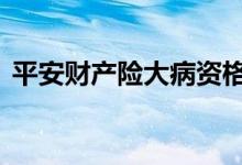 平安财产险大病资格 平安财产险是保什么的
