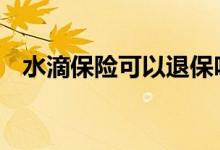 水滴保险可以退保吗 水滴保险可以退保吗