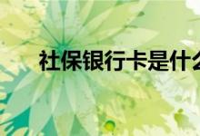社保银行卡是什么卡 个人账户怎么查 