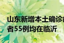 山东新增本土确诊病例2例、本土无症状感染者55例均在临沂