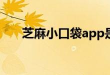 芝麻小口袋app是否安全（芝麻小贷）