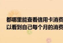 都哪里能查看信用卡消费记录时间 办理信用卡以后 在哪可以看到自己每个月的消费记录