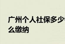 广州个人社保多少钱一个月 广州个人社保怎么缴纳 