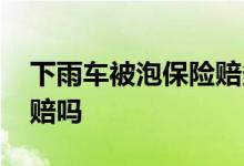 下雨车被泡保险赔多少钱 下雨车被泡了保险赔吗