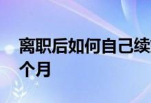 离职后如何自己续交社保 社保最多可以停几个月 