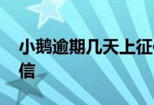小鹅逾期几天上征信 小鹅花钱逾期几天上征信