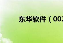 东华软件（002065）业绩怎么样