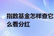 指数基金怎样查它历年分红 指数基金年报怎么看分红