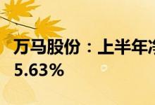 万马股份：上半年净利同比预增160.66%-225.63%