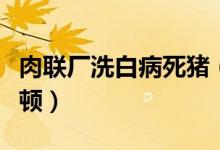 肉联厂洗白病死猪（涉事企业已被责令停业整顿）