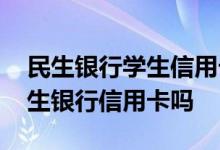 民生银行学生信用卡如何申请 学生可以办民生银行信用卡吗