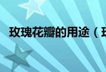 玫瑰花瓣的用途（玫瑰花瓣的用途是什么）