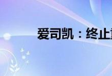 爱司凯：终止重大资产重组事项