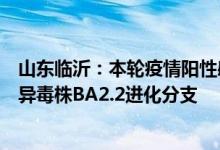 山东临沂：本轮疫情阳性感染者的基因测序均为奥密克戎变异毒株BA2.2进化分支