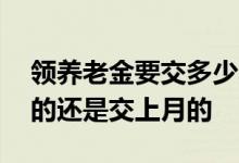领养老金要交多少年社保 社保是当月交当月的还是交上月的 