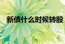 新债什么时候转股 新债啥时候可以转股票