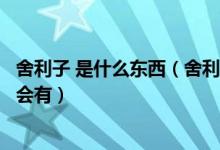 舍利子 是什么东西（舍利子是什么舍利子是什么东西为什么会有）