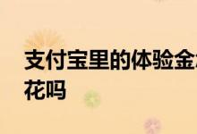支付宝里的体验金怎么花 支付宝的体验金能花吗