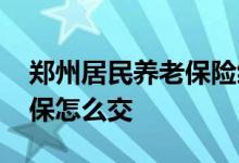 郑州居民养老保险缴费多少 郑州农村居民社保怎么交 