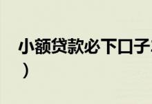 小额贷款必下口子2021（小额贷款必下口子）