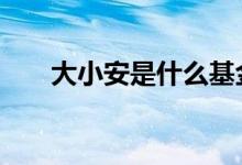 大小安是什么基金 大小安是什么基金