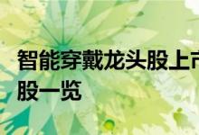 智能穿戴龙头股上市公司有哪些智能穿戴概念股一览
