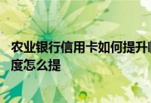 农业银行信用卡如何提升临时额度 农业银行信用卡的临时额度怎么提