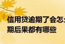 信用贷逾期了会怎么样 及贷上征信吗 及贷逾期后果都有哪些