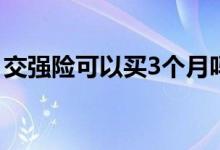 交强险可以买3个月吗 交强险可以买三个月吗
