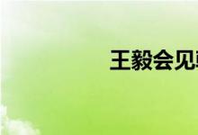 王毅会见韩国外长朴振