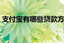 支付宝有哪些贷款方式（支付宝有哪些贷款）