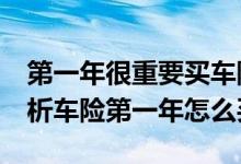 第一年很重要买车险尤其如此&#32;解析车险第一年怎么买
