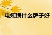 电炖锅什么牌子好（四大品牌供你选择！）